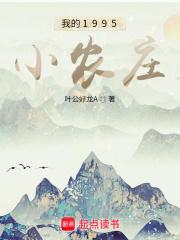 我的1995小农庄封面