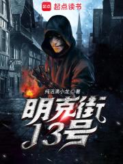 明克街13号封面