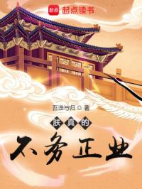 朕真的不务正业封面