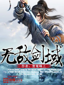 无敌剑域封面